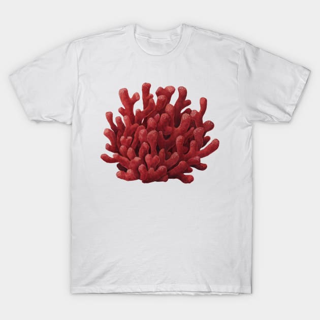 Red Beard Sponge T-Shirt by JadaFitch